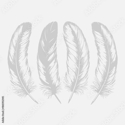 Four white feathers
