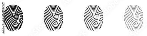 A set of four fingerprint pictograms: solid silhouette, bold outline, medium outline, and thin linear outline. Stylized symbols of biometric identification. Vector illustration.