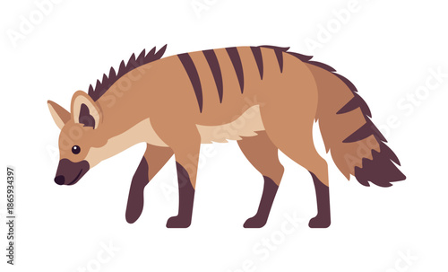 Aardwolf cute black-striped nocturnal African mammal standing pose. Canine like insect eating hyena family insectivorous animal, unique amazing wild life. Vector flat style cartoon illustration