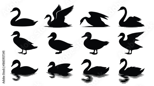 A set of 12 black and white silhouette illustrations of waterfowl arranged in three rows 