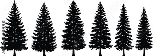 Silhouette set of pine trees, evergreen forest illustration, black tree shapes, isolated on white background, vector collection for nature design