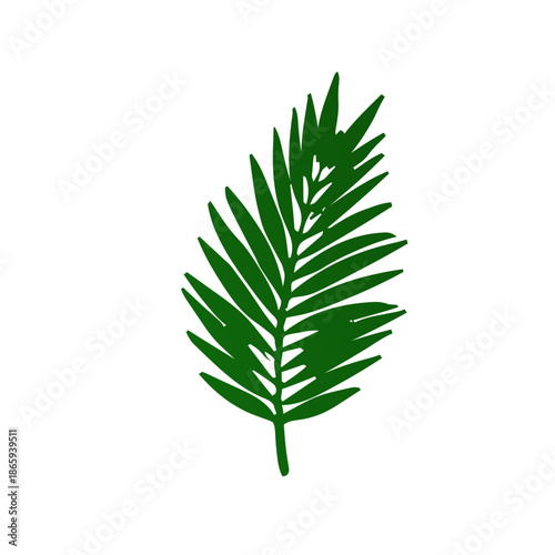 A simple, hand-drawn illustration of a vibrant green palm frond.