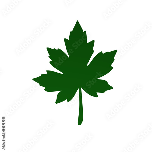 A simple, stylized illustration of a dark green maple leaf with a stem.
