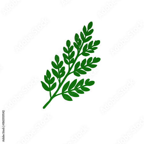 A simple, stylized illustration of a green fern frond with multiple small leaves branching off a central stem.