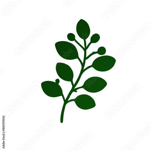 A simple, stylized illustration of a dark green leafy branch with small berries.