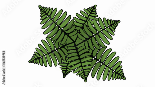 Top-down view of a stylized green fern frond arrangement