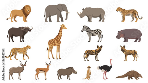 Collection of Various Wild Animals in Cartoon Style.