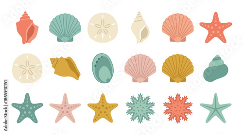 Colorful Assorted Seashells and Starfish Collection.