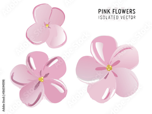 Delicate pink cherry blossoms beautifully displayed against a stark black background