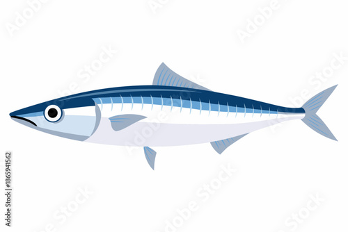 A simple illustration of a blue and white mackerel fish on a white background