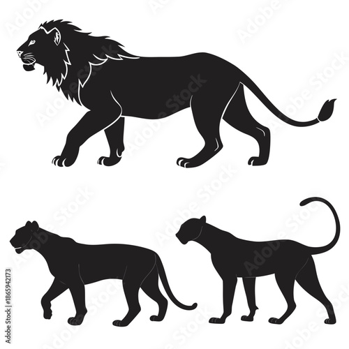 Silhouettes of big cats