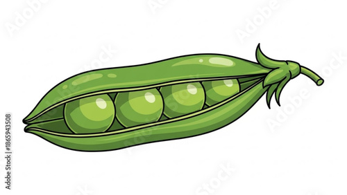 Green Peas Pod Open with Peas Inside Isolated on White