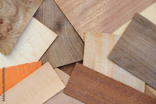 Εκτύπωση καμβά Collection of Overlapping Wood Veneer Samples in Assorted Natural Species and Gr