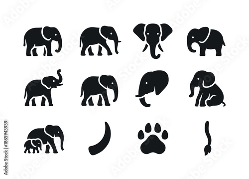 Elephant Icon Collection. Elephants. Solid icon set of Elephants: elephant standing, elephant walking, elephant head, baby elephant, elephant with raised