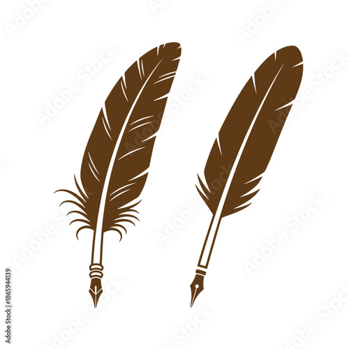 Brown feather quill pens on white background  writing instruments  old style