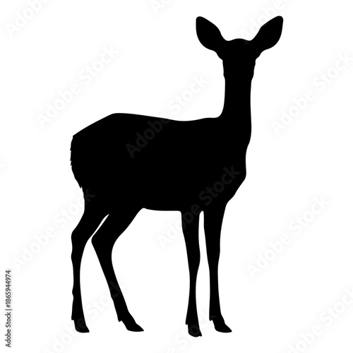 Silhouette of a graceful deer standing alert in a white background Vector