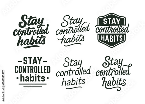 Diverse Lettering Styles. Stay controlled habits. Set lettering. harmonious lettering variations of the same emblematic concept, each with different artistic