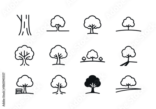 Lone Tree Icon Set. Lone Tree Views. Line icon set of Lone Tree Views: close up trunk, wide field shot, top down view, tree from distance, bird?s eye view,
