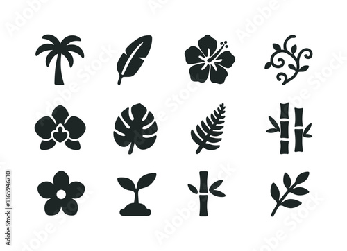 Tropical Flora Icons. Tropical Flora. Solid icon set of Tropical Flora: palm tree, banana leaf, hibiscus, vine, orchid, monstera leaf, fern, cactus, flower,