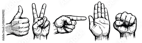 Hand drawn line art hand gestures set featuring thumbs up, victory sign, pointing, open palm, and a clenched fist for communication and expression