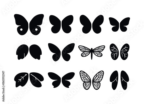 Insect Wings Icon Set. Insect Wings. Solid icon set of Insect Wings: butterfly wings, moth wings, bee wings, wasp wings, beetle wings, fairy wings, dragonfly
