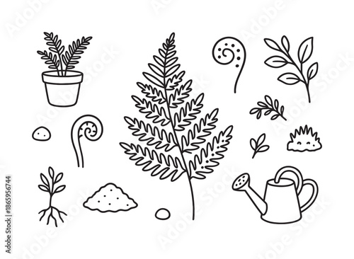 Fern Doodle Collection. Fern. Hand-drawn doodle illustration fern fern leaf, curled frond, spores, pot, soil mound, watering can, small pebble, forest leaf,