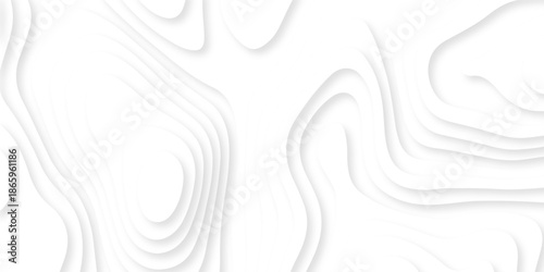 Papercut layers and paper cut topography vector art background banner texture. Abstract white paper cut background with realistic shapes. Modern vector illustration for concept design.