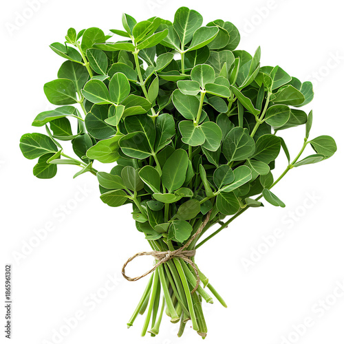 Fresh Fenugreek Leaves Bunch Small Isolated On Transparent Background
