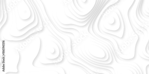 Pattern with lines the stylized height of the topographic map contour in lines and contours isolated on layers. White topography curve lines map isolated on white background.