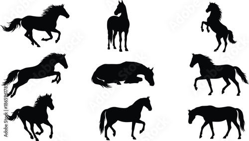 Horse silhouette collection, black running jumping standing horses, animal motion set isolated on white background illustration