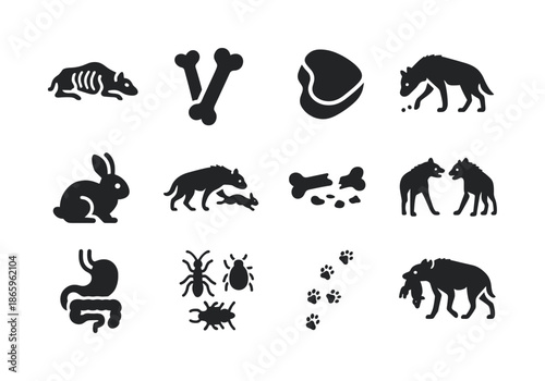 Hyena Diet Icons. Hyena diet. Solid icon set of Hyena diet: carcass icon, bones, meat chunk, scavenging symbol, small prey animal, hunting scene, leftover