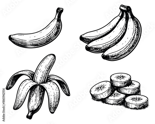 Hand drawn line art banana set featuring whole, peeled, sliced, and a bunch of fruit for healthy eating concepts