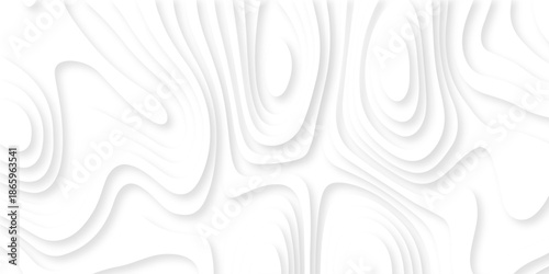 Pattern with lines the stylized height of the topographic map contour in lines and contours isolated on layers. White topography curve lines map isolated on white background.