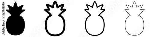 Pineapple icon. Tropical fruit pineapple: black silhouette and outline lines, isolated on a white background. Four style variations. Vector illustration.