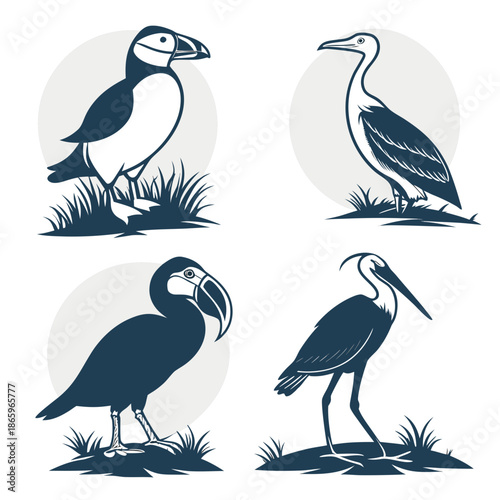 Collection of bird illustrations