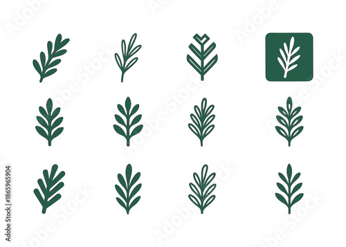 Natural Haircare Logo Variations. Natural Haircare Ingredients. Icon set. Set Logo of Natural Haircare Ingredients: rosemary sprig. harmonious logo variations