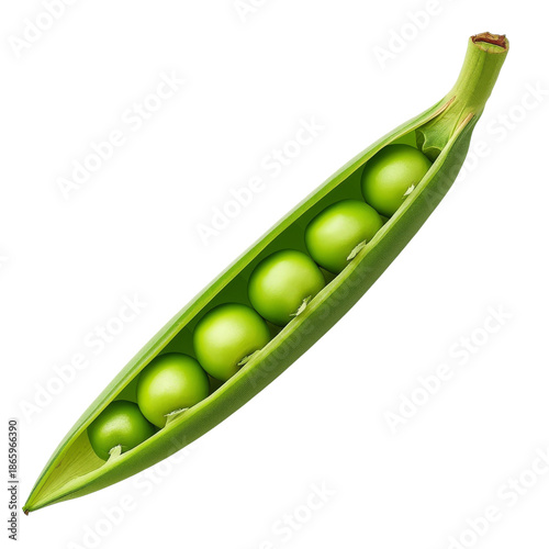 Fresh Green Peas Inside a Pod Ready for Harvesting in a Garden