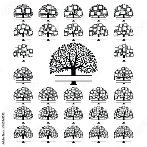 Family Tree Square Family Reunion Genealogical