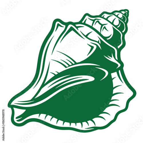 green conch shell illustration in white background  sea creature  ocean animal