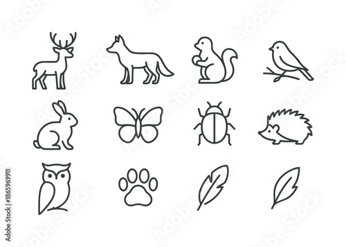 Forest Creature Icons. Forest creatures seen on walks. Line icon set of forest creatures seen on walks: deer silhouette, fox outline, squirrel, bird on branch,