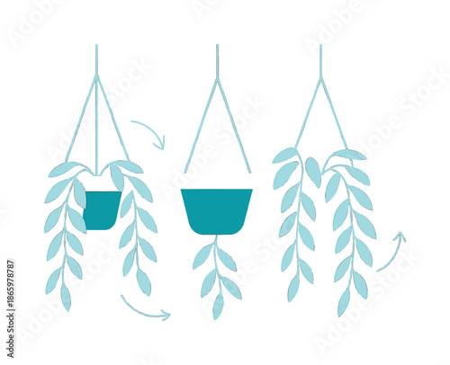 Cascading Plants Display. Hanging planters. Pots suspended with clean lines; leaves cascading in slow motion. Floating arrows suggesting gentle sway. Modern