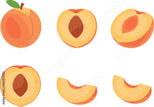 Peach fruit vector set with whole halved and sliced pieces fresh summer food illustration isolated