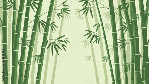 Elegant bamboo forest background with green stalks and leaves