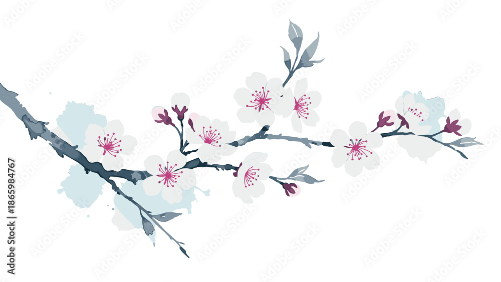 Fototapeta premium Elegant watercolor cherry blossom branch on clean white background