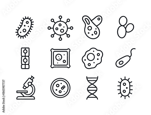 Microscopic Life Icons. Microscopic Life. Line icon set of Microscopic Life: bacteria, virus, protozoa, yeast, algae, cell wall, nucleus, flagella, microscope,