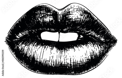 Hand drawn illustration of lips depicting a subtle smile with teeth for beauty and dental concepts