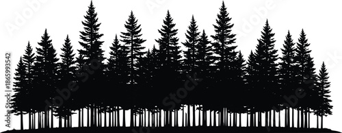 Pine forest silhouette vector illustration, coniferous trees background, evergreen woods landscape, nature panoramic view, cad drawing flat vector illustration