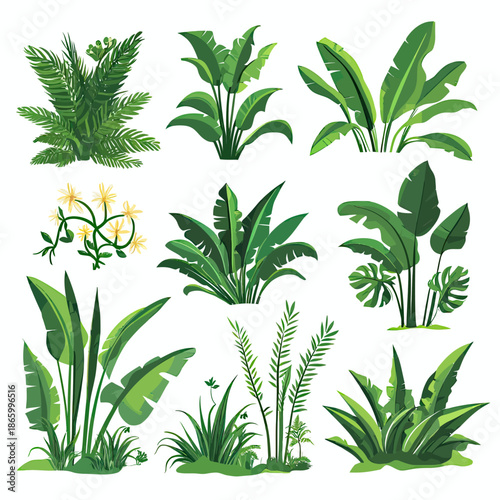 Set tropical jungle plants collection with banana leaves, palm fronds, lush green foliage and yellow flowers isolated on white background in flat style vector illustration