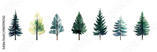 Watercolor pine tree collection set with varied shapes and shades of green, blue and yellow forest conifer silhouettes on white background in minimalist style vector illustration