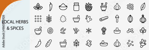local herbs and aromatic spices outline icons, organic seasoning vector